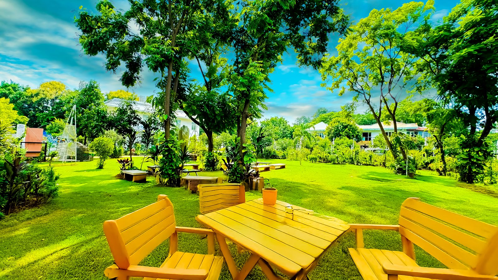 best-drug-rehab-in-delhi-ncr.jpg