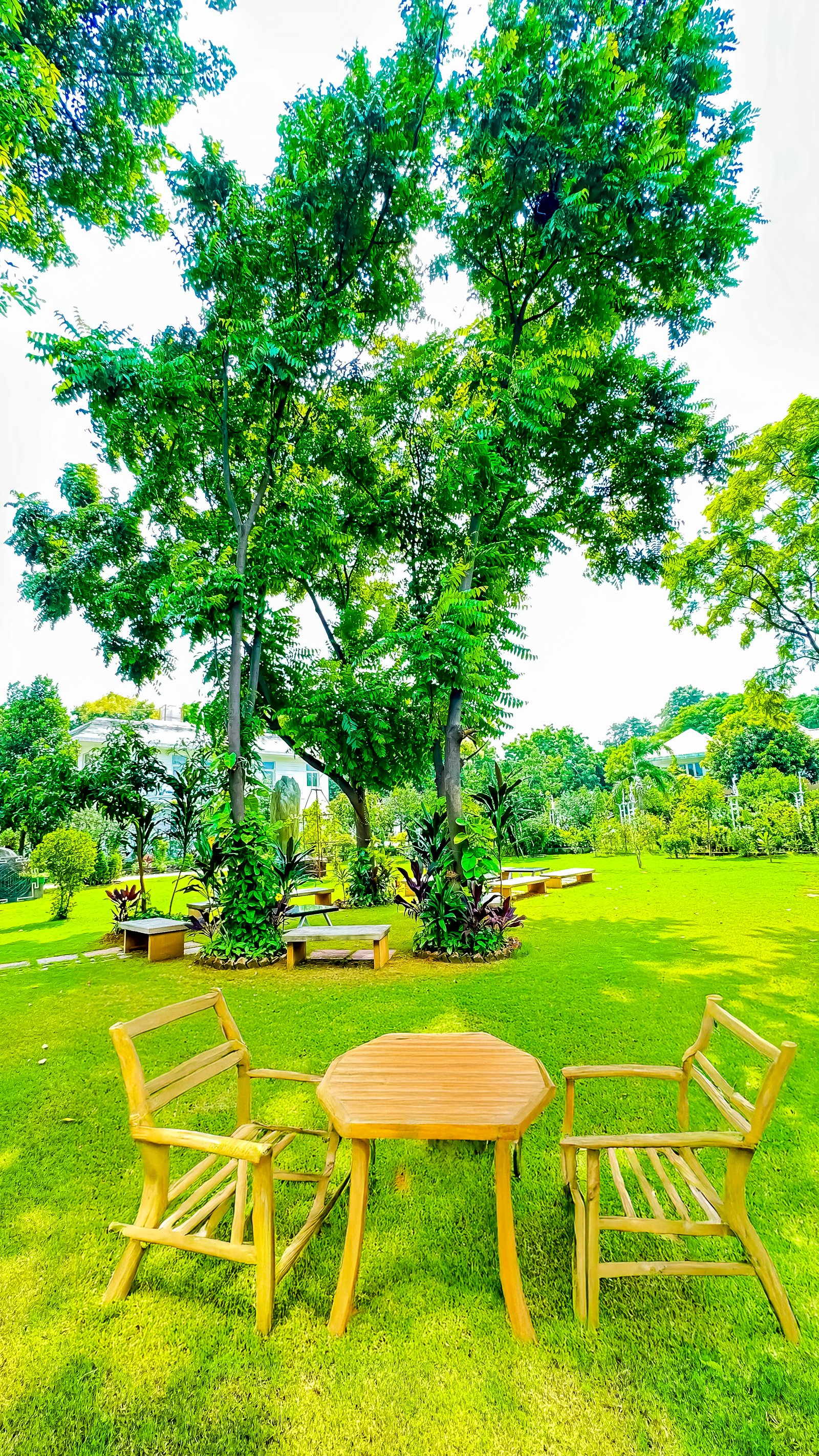 exclusive-rehab-center-delhi.jpg