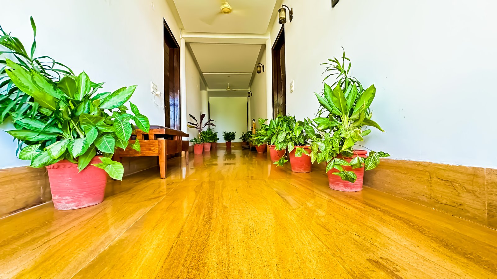 executive-rehab-in-delhi-ncr.jpg