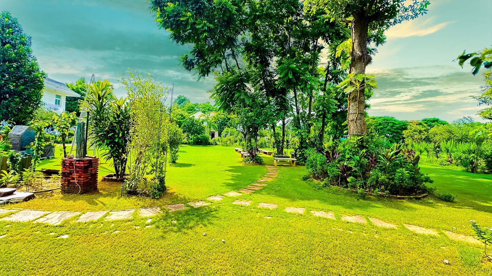 best-drug-rehab-in-delhi-ncr.jpg