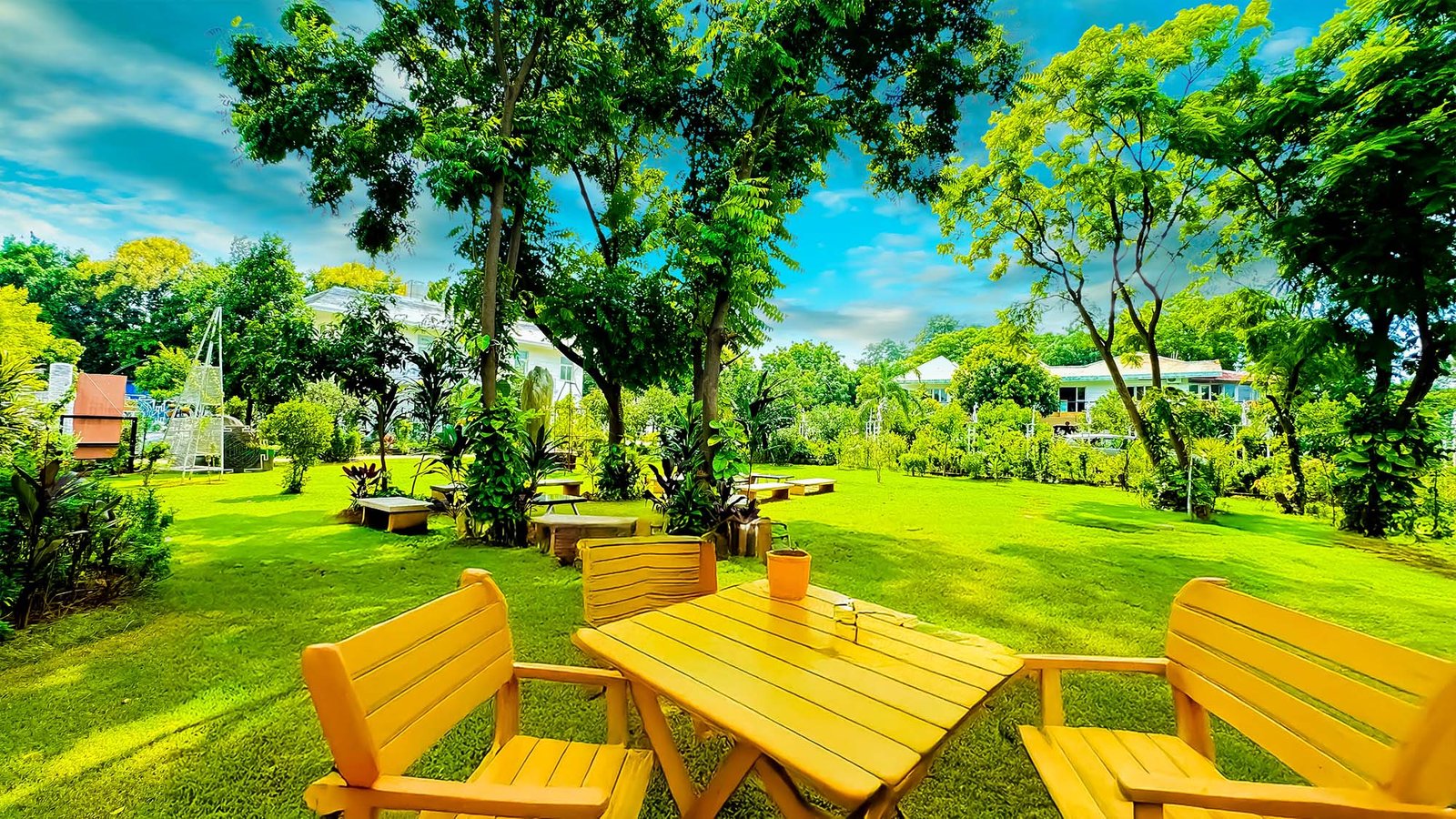 luxury-alcohol-rehab-in-delhi.jpg