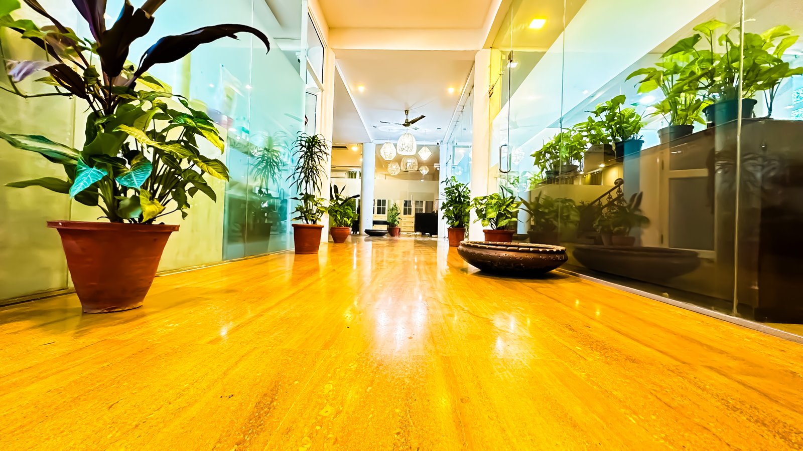 luxury-addiction-recovery-delhi.jpg