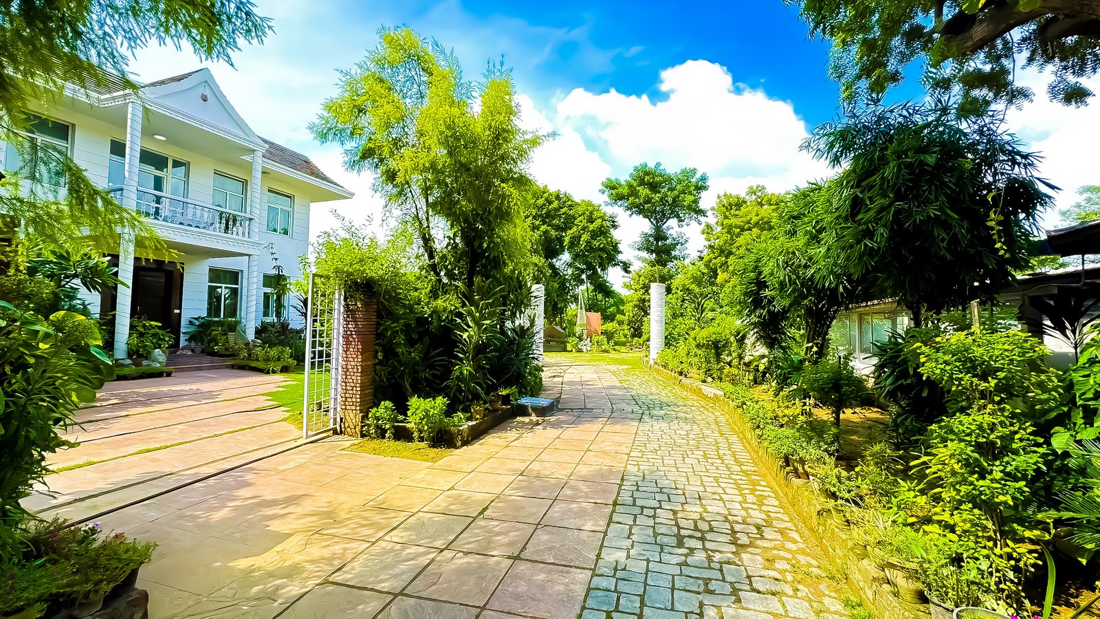 luxury-detox-centers-in-delhi.jpg