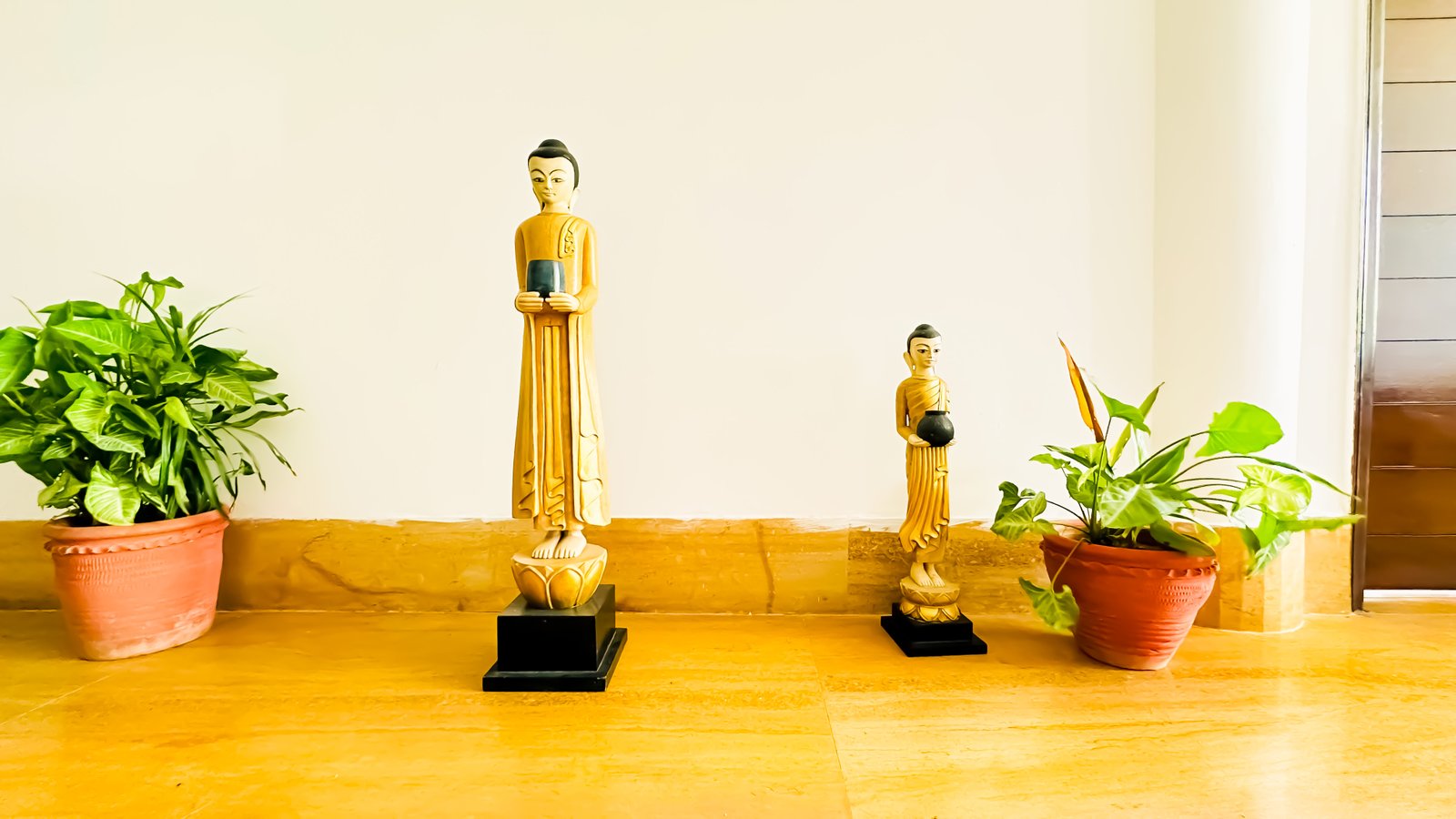 luxury-wellness-rehab-centers-delhi.jpg