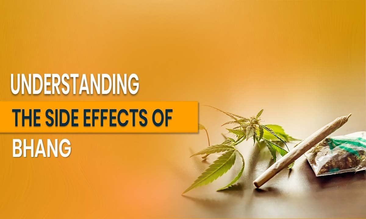Understanding the Side Effects of Bhang