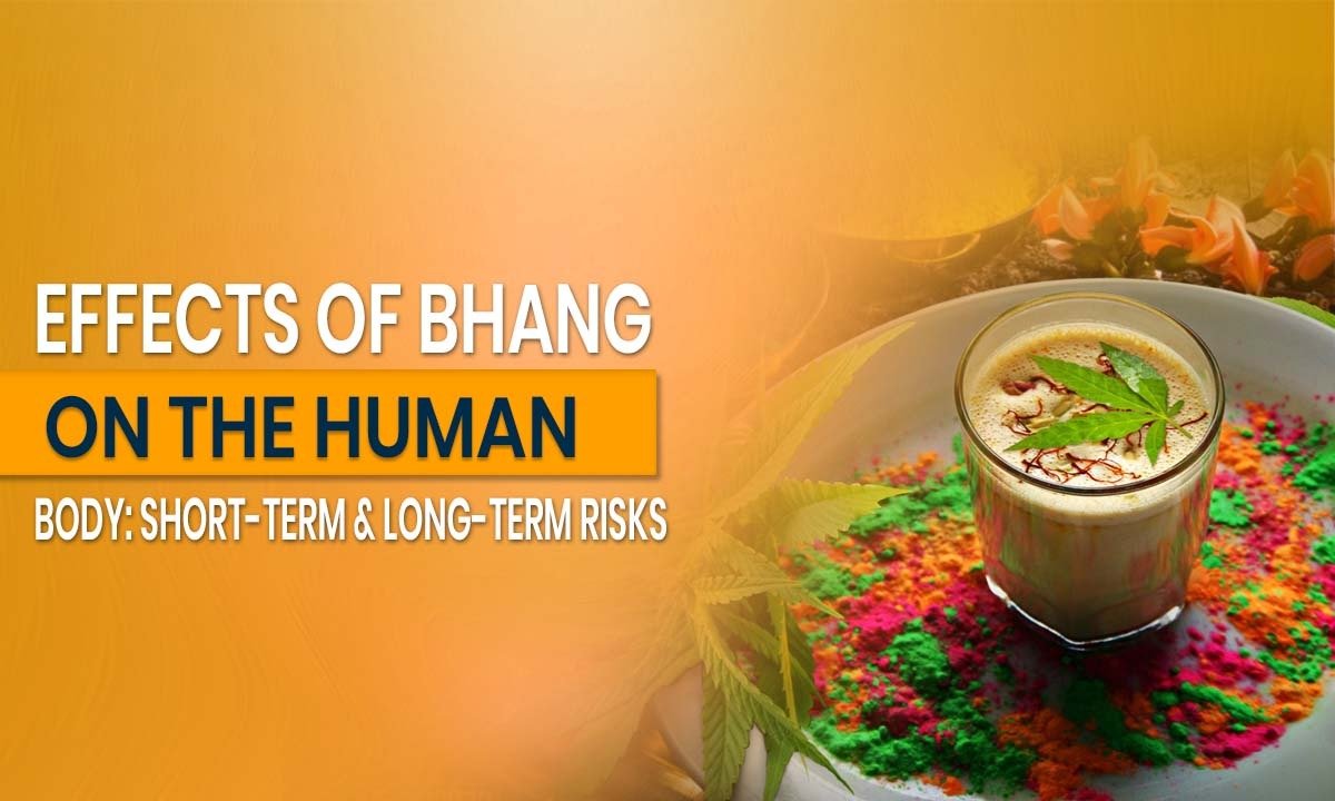 Effects of Bhang on the Human Body: Short-Term & Long-Term Risks