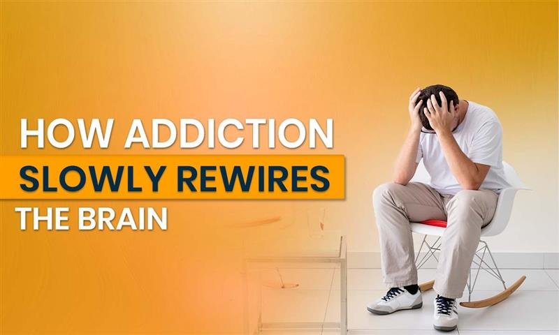 How Addiction Slowly Rewires the Brain | Neuroscience of Addiction Explained