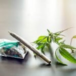 Understanding-the-Side-Effects-of-Bhang
