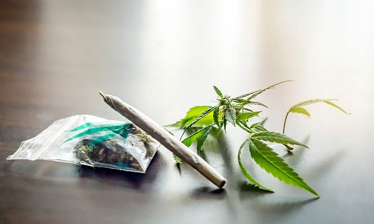 Understanding-the-Side-Effects-of-Bhang