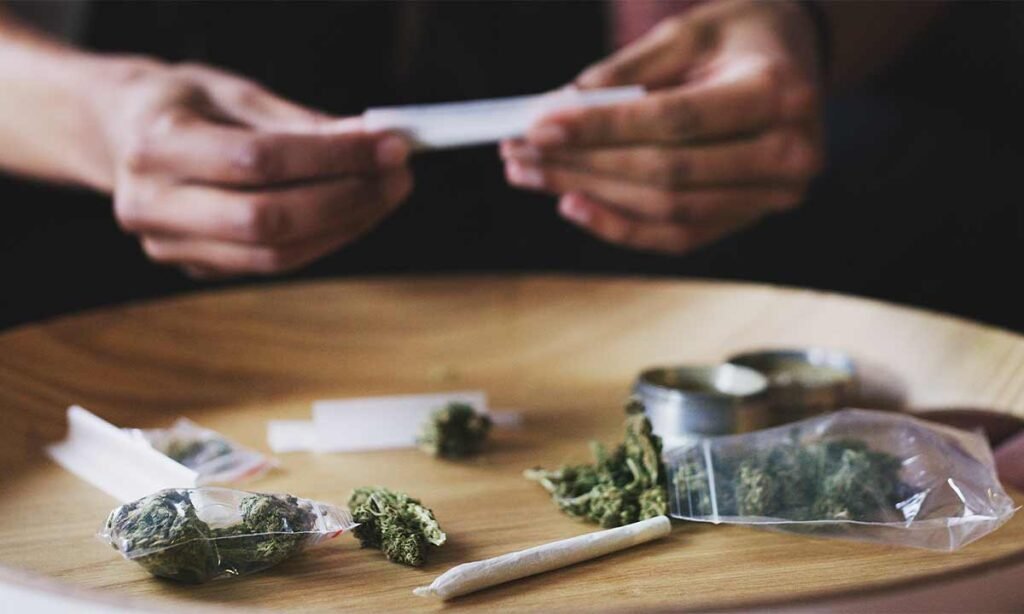 difference-between-bhang-and-ganja-key-facts-explained