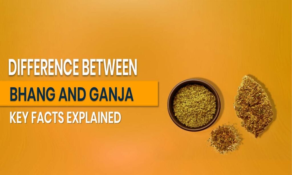 Difference Between Bhang and Ganja_ Key Facts Explained